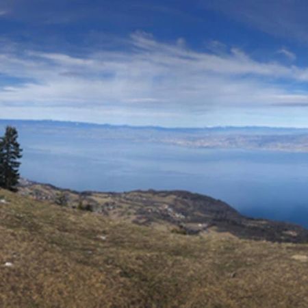 Studio entièrement rénové entre lac et montagne Thollon-les-Memises Esterno foto
