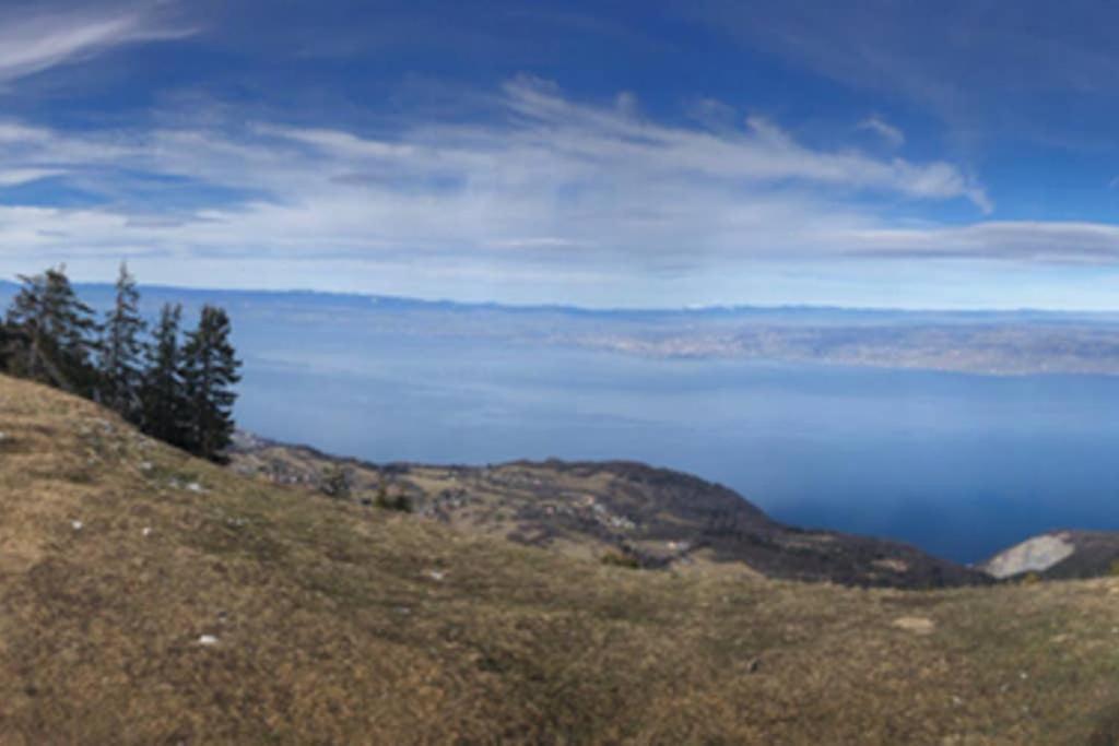Studio entièrement rénové entre lac et montagne Thollon-les-Memises Esterno foto