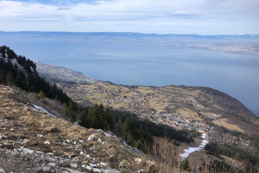 Studio entièrement rénové entre lac et montagne Thollon-les-Memises Esterno foto